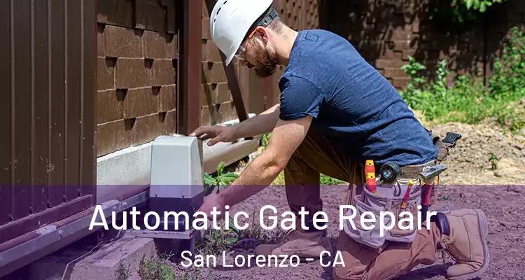  Automatic Gate Repair San Lorenzo - CA