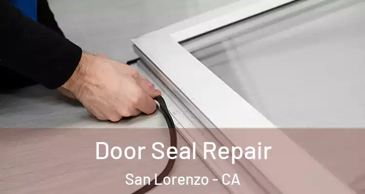  Door Seal Repair San Lorenzo - CA