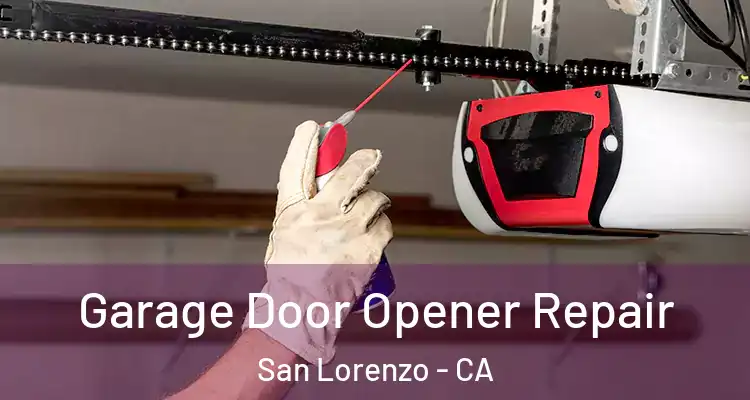  Garage Door Opener Repair San Lorenzo - CA