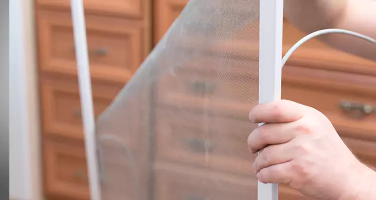 Privacy Mesh Screen Door Installation in San Lorenzo, CA