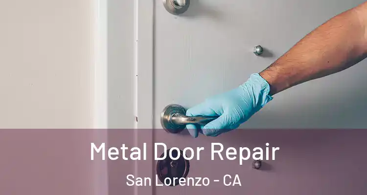  Metal Door Repair San Lorenzo - CA