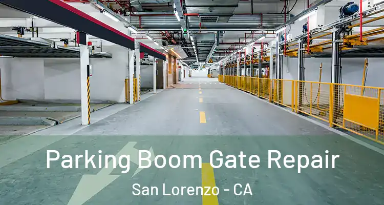  Parking Boom Gate Repair San Lorenzo - CA