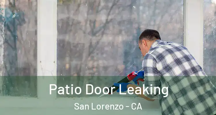  Patio Door Leaking San Lorenzo - CA