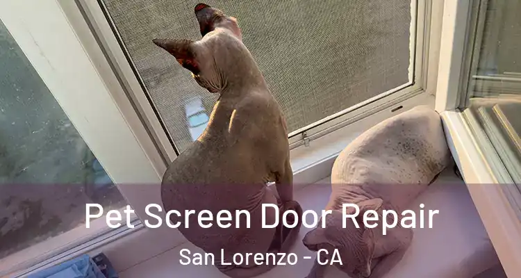  Pet Screen Door Repair San Lorenzo - CA