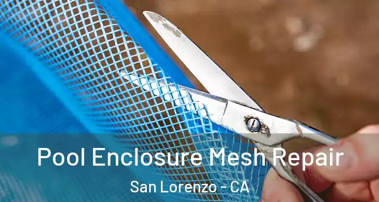  Pool Enclosure Mesh Repair San Lorenzo - CA