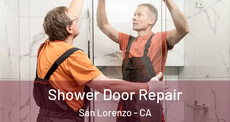  Shower Door Repair San Lorenzo - CA