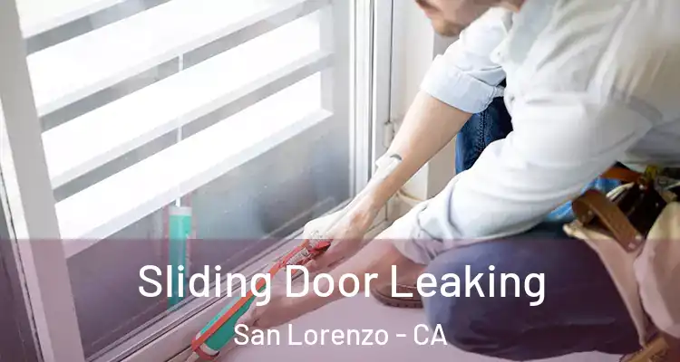  Sliding Door Leaking San Lorenzo - CA