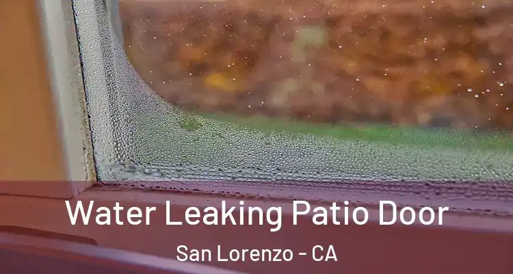  Water Leaking Patio Door San Lorenzo - CA